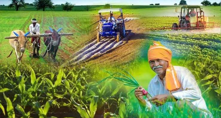 समस्तीपुर के किसानों के लिए खुशखबरी: हरा चना और मटर के बीज पर मिलेगा 50% तक अनुदान, 'कृषि मैपर ऐप' से होगी निगरानी