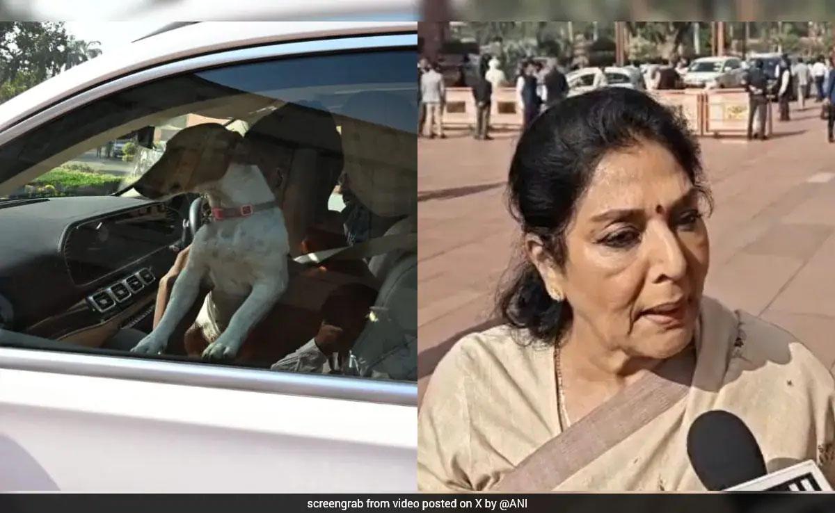 संसद में 'डॉग' एंट्री पर घिरीं रेणुका चौधरी: 'अंदर बैठे लोग काटते हैं' वाली टिप्पणी पर विशेषाधिकार हनन का नोटिस, 23 फरवरी तक जवाब तलब